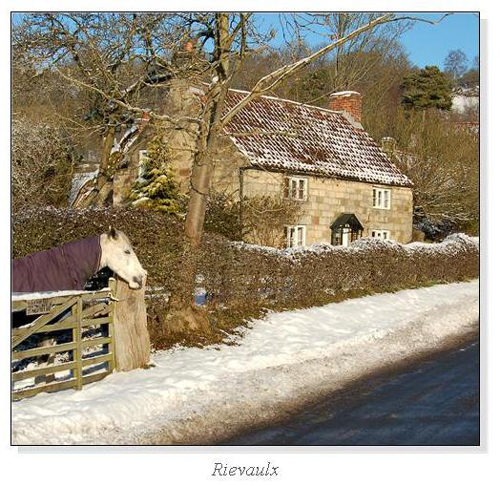 Rievaulx Square Cards