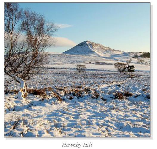 Hawnby Hill Square Cards