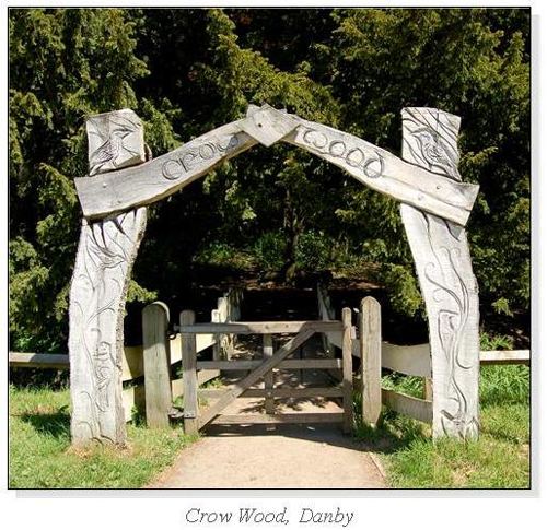Crow Wood, Danby Square Cards