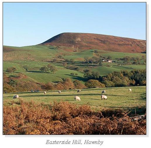 Easterside Hill, Hawnby Square Cards