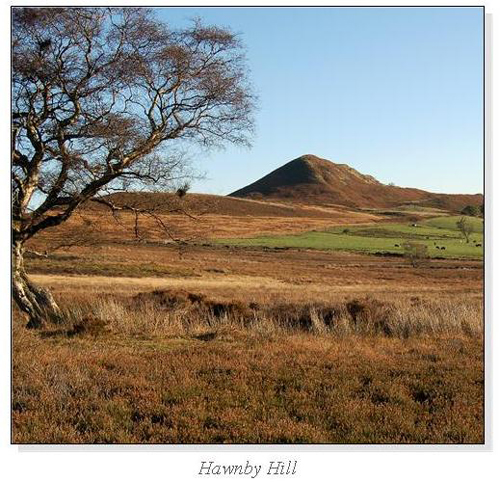 Hawnby Hill Square Cards