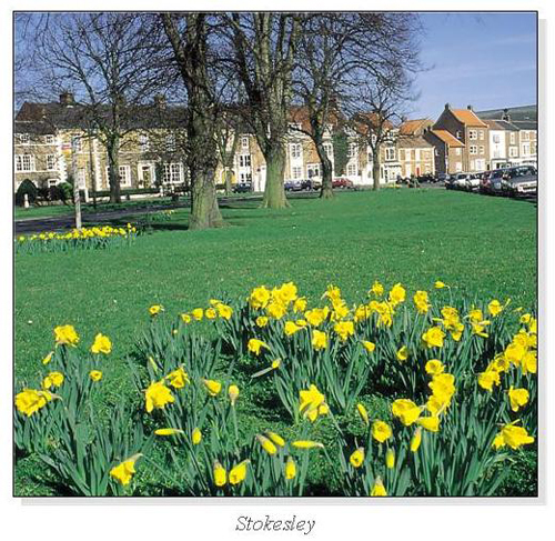 Stokesley Square Cards