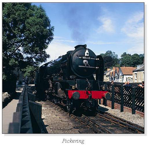 Pickering Square Cards