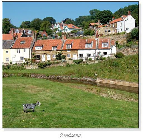 Sandsend Square Cards