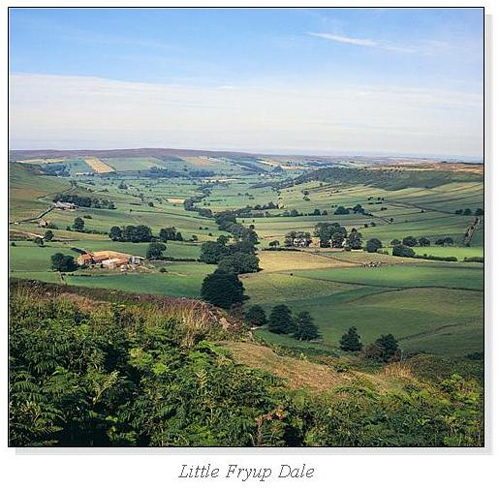 Little Fryup Dale Square Cards