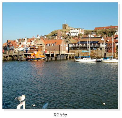 Whitby Square Cards
