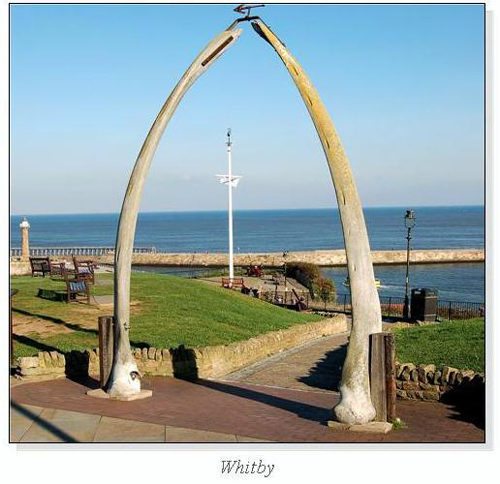 Whitby Square Cards