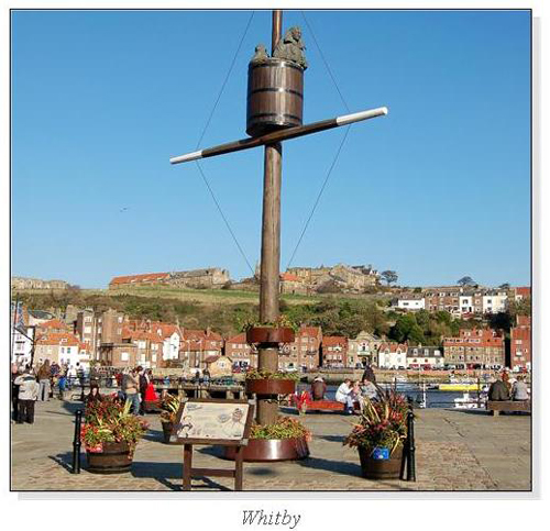 Whitby Square Cards