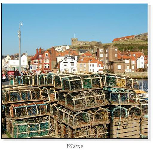 Whitby Square Cards