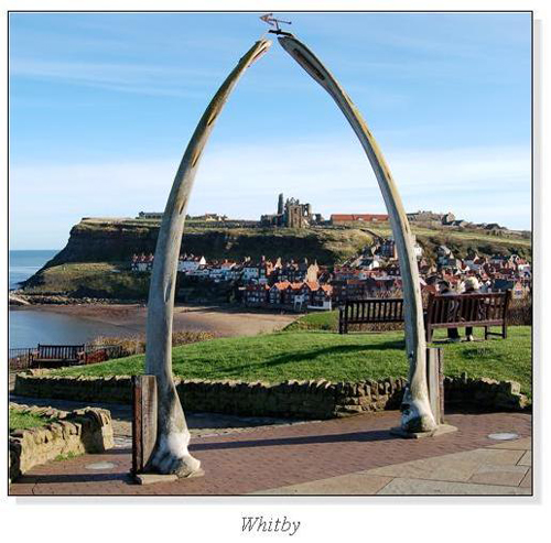 Whitby Square Cards
