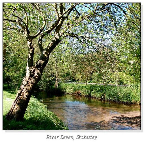 River Leven, Stokesley Square Cards