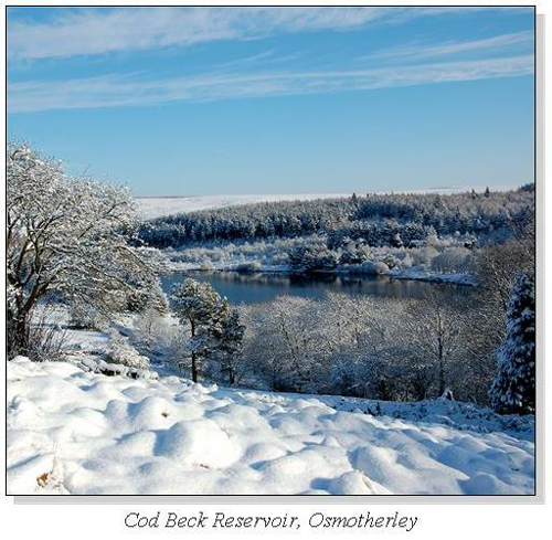 Cod Beck Reservoir, Osmotherley Square Cards