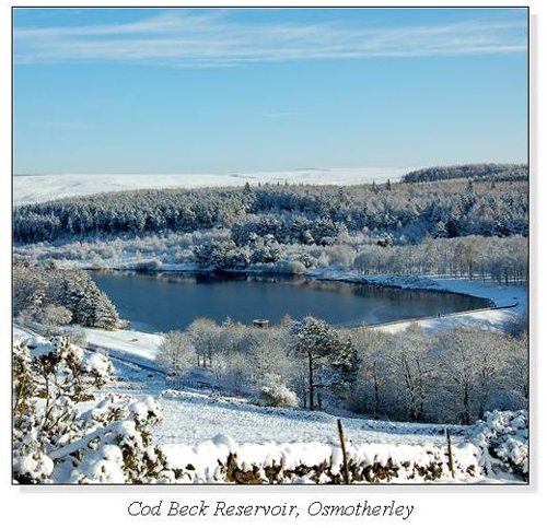 Cod Beck Reservoir, Osmotherley Square Cards