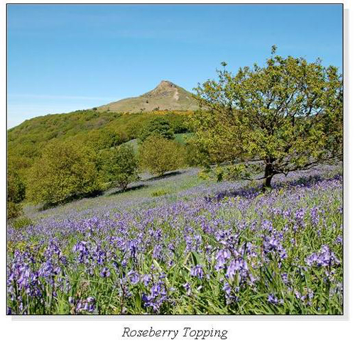 Roseberry Topping Square Cards