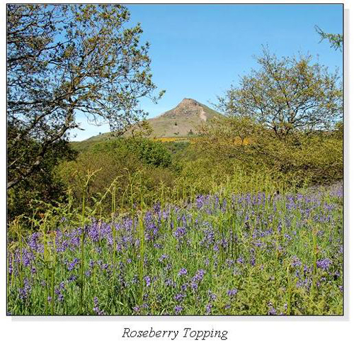 Roseberry Topping Square Cards