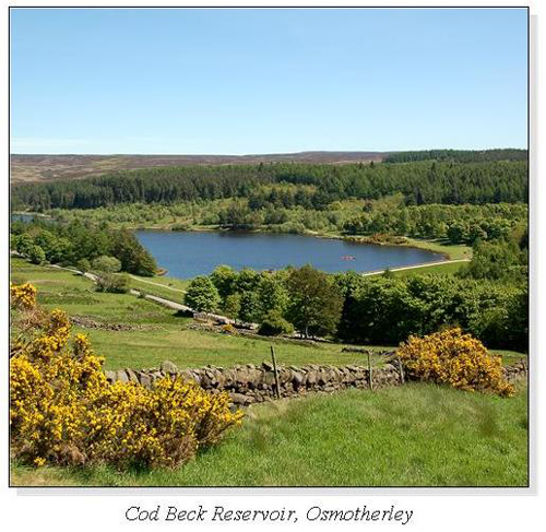 Cod Beck Reservoir, Osmotherley Square Cards