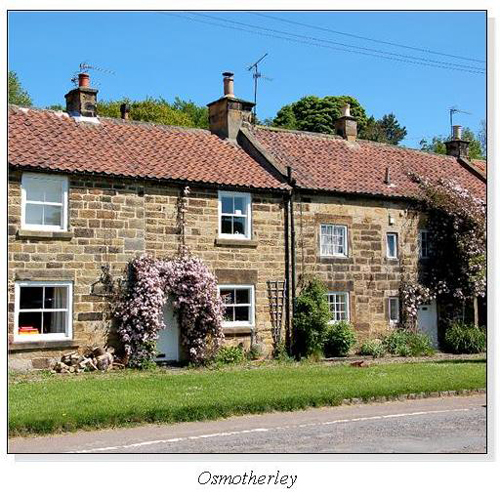 Osmotherley Square Cards