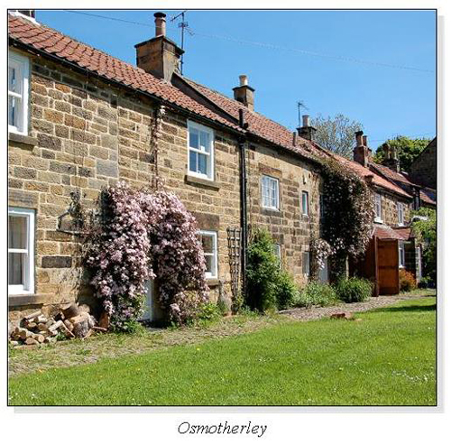 Osmotherley Square Cards