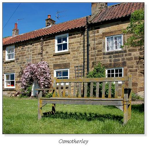 Osmotherley Square Cards
