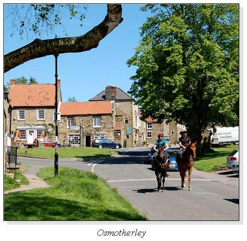 Osmotherley Square Cards