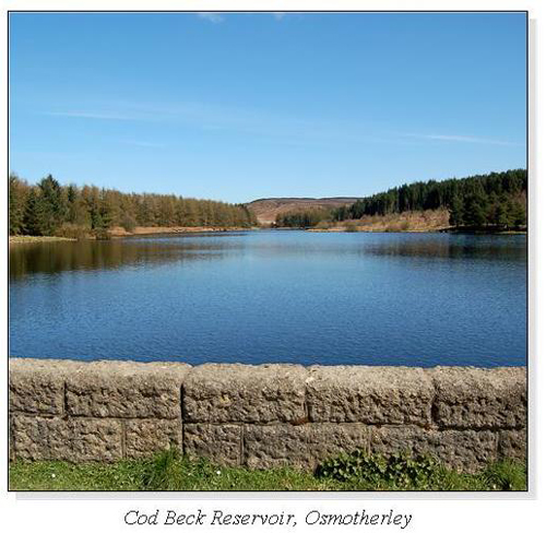 Cod Beck Reservoir, Osmotherley Square Cards