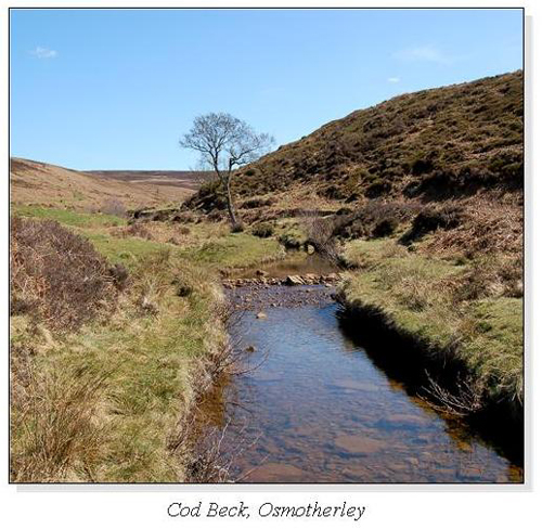 Cod Beck, Osmotherley Square Cards