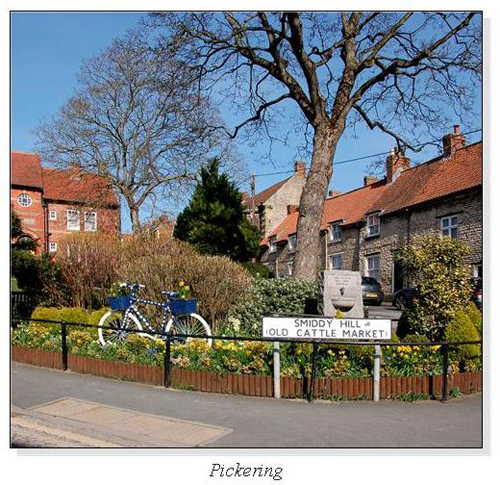 Pickering Square Cards