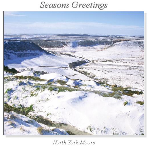 North York Moors Christmas Square Cards