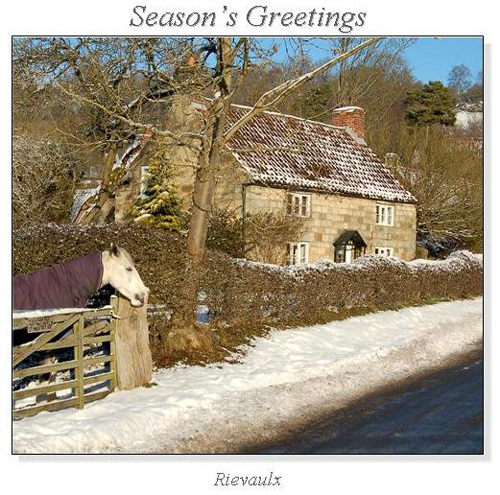 Rievaulx Christmas Square Cards
