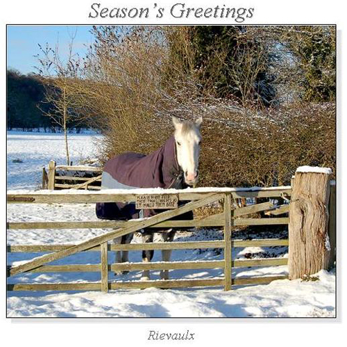 Rievaulx Christmas Square Cards
